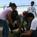 IMG_1295_Small.jpg