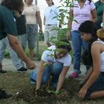 IMG_1314_Small.jpg