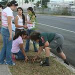 IMG_1317_Small.jpg