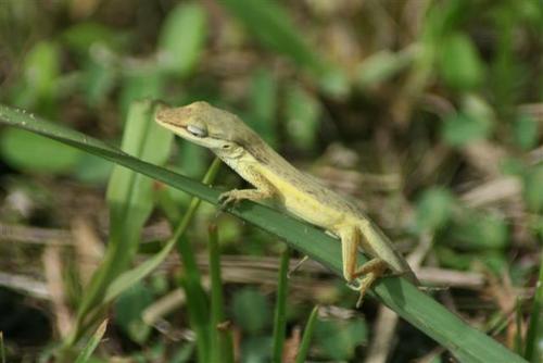 IMG_0472_Small.jpg
