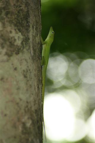 IMG_0491_Small.jpg