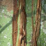 IMG_0511_Small.jpg