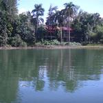 IMGP3607_Small.jpg