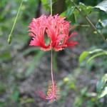 IMG_8005_Small.jpg