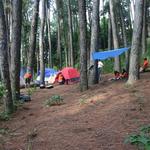 IMG_7512_Small.jpg
