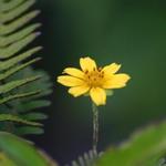 IMG_7559_Small.jpg