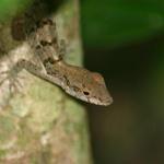 IMG_7579_Small.jpg