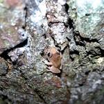 IMG_7600_2_Small.jpg