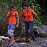 IMGP3380_Small.jpg
