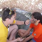 IMGP3236_Small.jpg