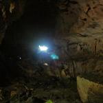 IMG_1272_2_Small.jpg