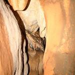 IMG_4061_Small.jpg