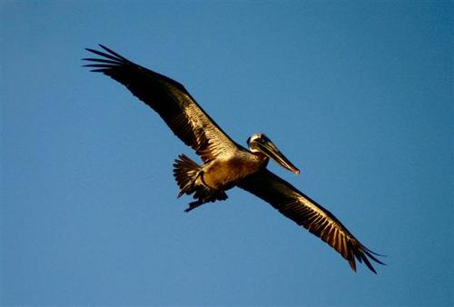 IMG_0492_2_Small.jpg