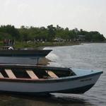 IMG_7063.jpg