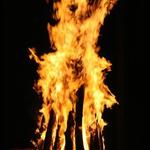IMG_5244_Small.jpg