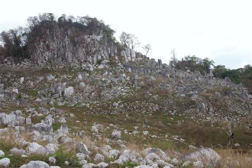 cuevas0008_2_Small.jpg