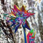 cuevas0005_art_Small.jpg