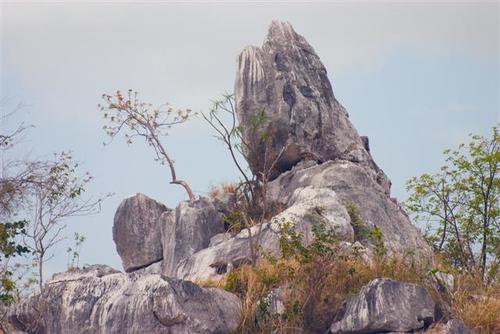 cuevas0115_3_Small.jpg