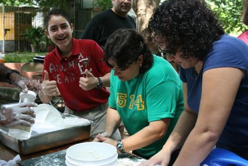 IMG_2475_Small.jpg