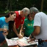 IMG_2491_Small.jpg