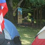 IMG_2324_Small.jpg