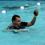 IMG_1811_2_Small.jpg