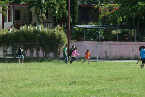 IMG_6271.jpg