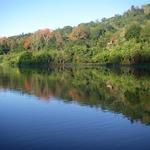 IMGP0438_Small.jpg