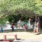 IMG_9385_Small.jpg