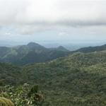 IMG_8327_Small.jpg