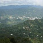 IMG_8363_Small.jpg