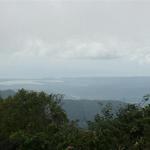 IMG_8364_Small.jpg