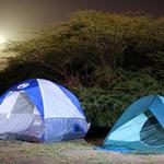 IMG_6215_2_Small.jpg