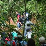 IMG_5364_Small.jpg