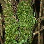 IMG_5404_Small.jpg