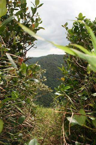 IMG_5422_Small.jpg