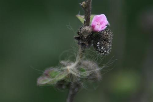 IMG_5444_Small.jpg