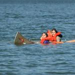 IMG_3954_Small.jpg