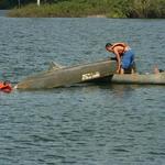 IMG_3979_Small.jpg