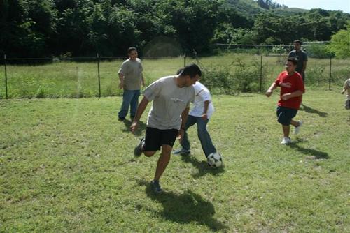 IMG_2939_Small.jpg