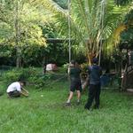 IMG_1802_Small.jpg