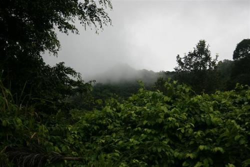 IMG_1813_Small.jpg